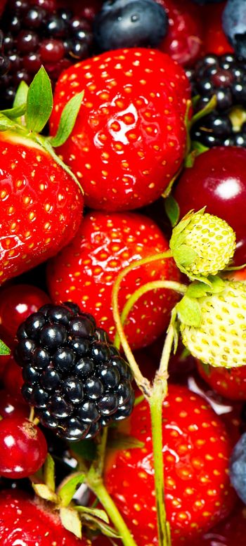 strawberry, blackberry, berry Wallpaper 720x1600