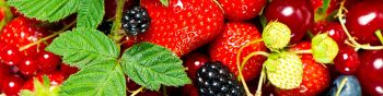 strawberry, blackberry, berry Wallpaper 1590x400