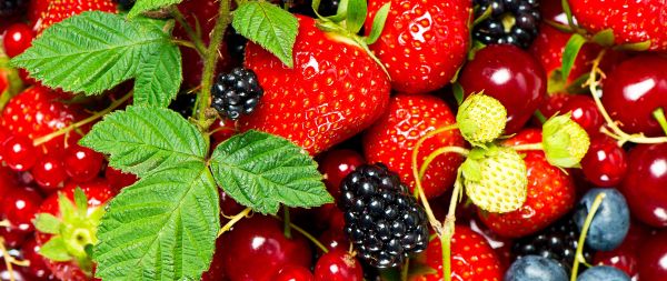 strawberry, blackberry, berry Wallpaper 2560x1080