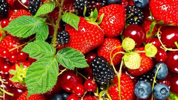 strawberry, blackberry, berry Wallpaper 1600x900