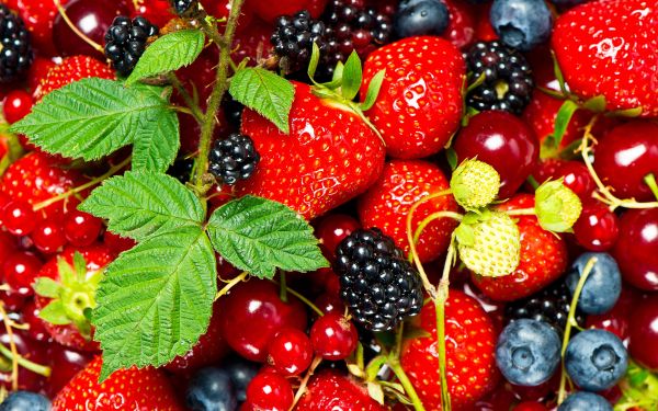 strawberry, blackberry, berry Wallpaper 2560x1600