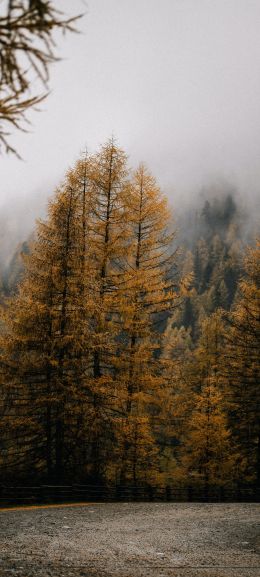 Rieserferner Arn Nature Park, Italy Wallpaper 1440x3200