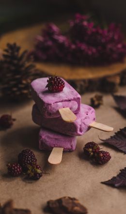 ice cream, blackberry, berry Wallpaper 600x1024