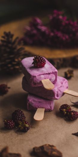 ice cream, blackberry, berry Wallpaper 720x1440