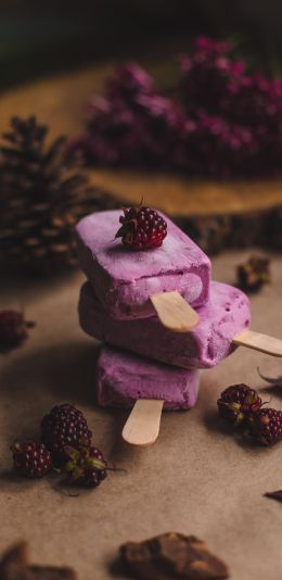 ice cream, blackberry, berry Wallpaper 1440x2960