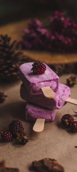 ice cream, blackberry, berry Wallpaper 1440x3200