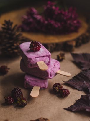 ice cream, blackberry, berry Wallpaper 1668x2224