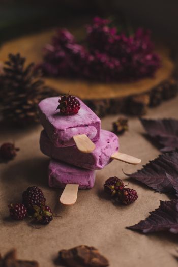 ice cream, blackberry, berry Wallpaper 640x960