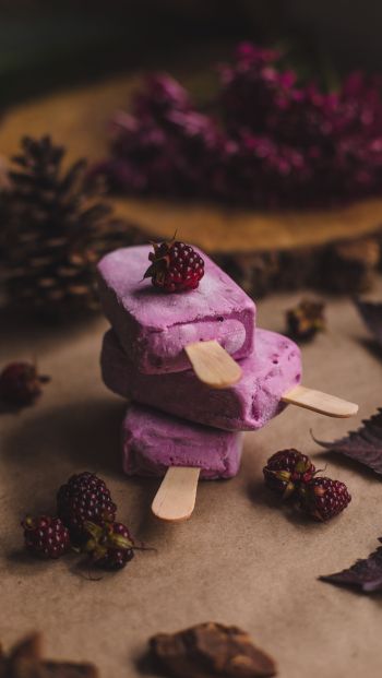 ice cream, blackberry, berry Wallpaper 640x1136