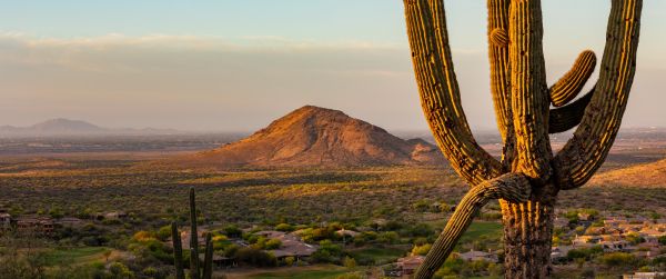 big cactus, mountain Wallpaper 3440x1440