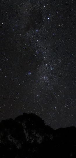 night sky, silhouette Wallpaper 1440x2960