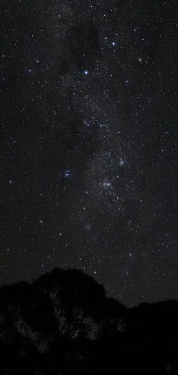 night sky, silhouette Wallpaper 1440x3040