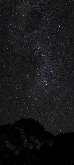 night sky, silhouette Wallpaper 1080x2400