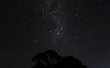 night sky, silhouette Wallpaper 2560x1600