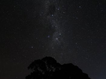 night sky, silhouette Wallpaper 800x600