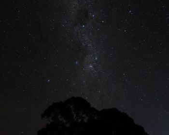 night sky, silhouette Wallpaper 1280x1024