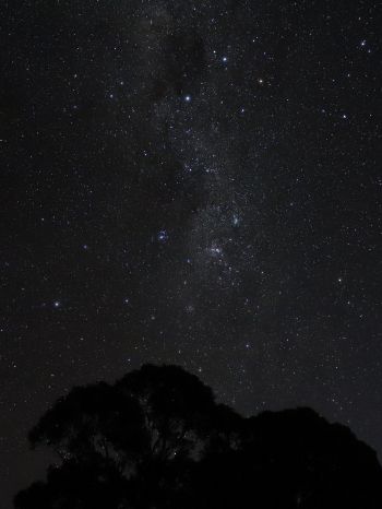 night sky, silhouette Wallpaper 1668x2224