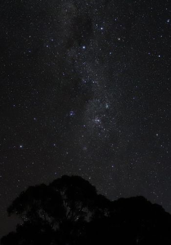 night sky, silhouette Wallpaper 1668x2388