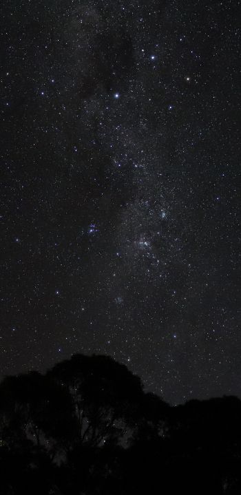 night sky, silhouette Wallpaper 1080x2220