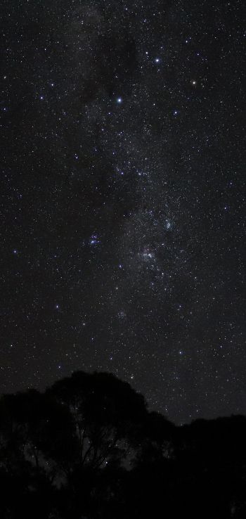 night sky, silhouette Wallpaper 1080x2280