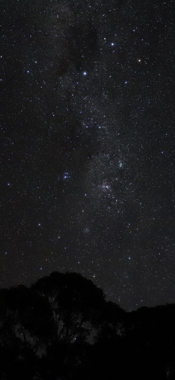 night sky, silhouette Wallpaper 1080x2340