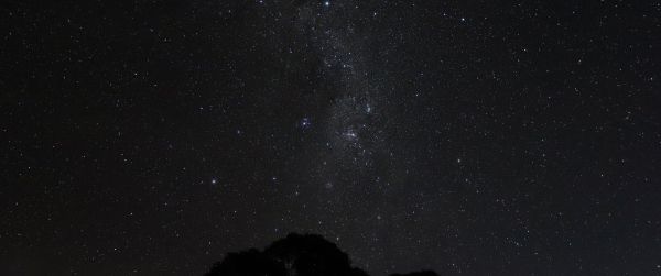 night sky, silhouette Wallpaper 3440x1440