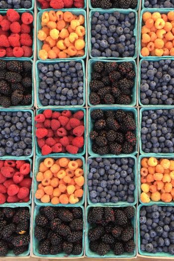 berry, blackberry, strawberry Wallpaper 640x960