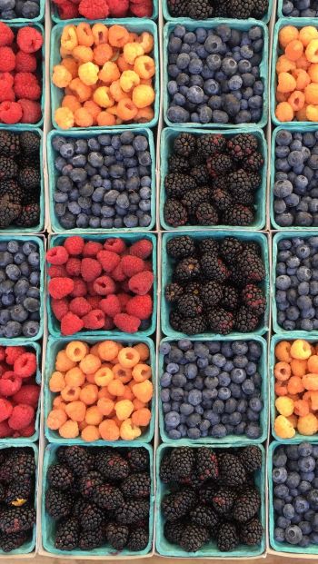 berry, blackberry, strawberry Wallpaper 640x1136