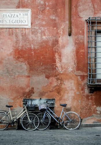 Обои 1640x2360 Рим, Италия, велосипеды