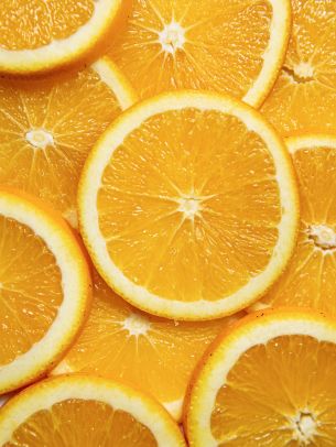 citrus, orange, fruit Wallpaper 2048x2732