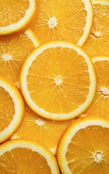 citrus, orange, fruit Wallpaper 1752x2800