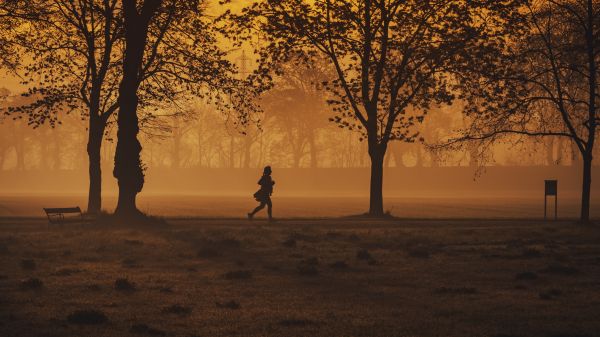 Обои 2048x1152 в желтом тумане, бегущий человек