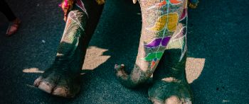 India, elephant Wallpaper 2560x1080