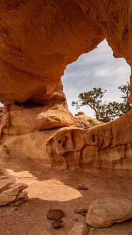 stone pillars, arch Wallpaper 640x1136