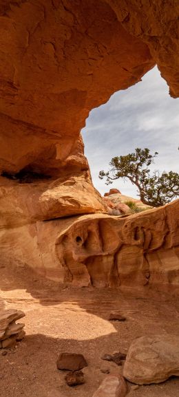 stone pillars, arch Wallpaper 1440x3200