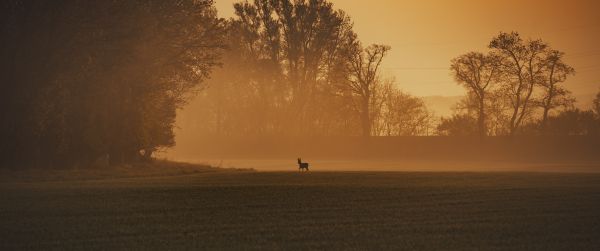 morning landscape, of nature Wallpaper 3440x1440