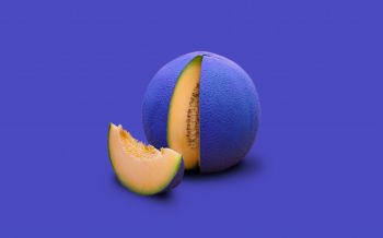 melon, purple wallpaper Wallpaper 2560x1600
