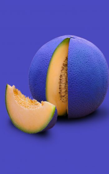 melon, purple wallpaper Wallpaper 1752x2800