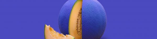 melon, purple wallpaper Wallpaper 1590x400