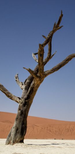 Sossusvlei, Namibia Wallpaper 1080x2220