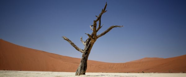 Sossusvlei, Namibia Wallpaper 3440x1440