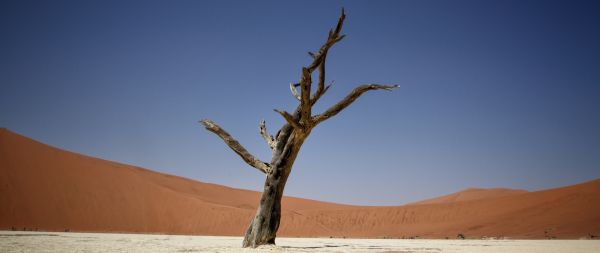 Sossusvlei, Namibia Wallpaper 2560x1080