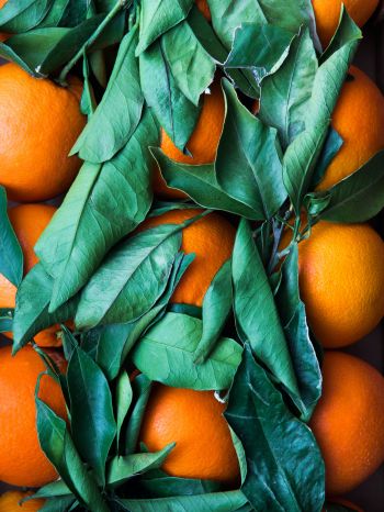 citrus, orange, fruit Wallpaper 1620x2160