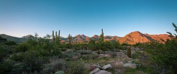 Arizona, cacti, mountains Wallpaper 2560x1080