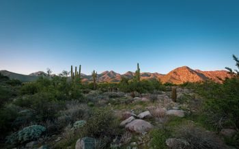 Arizona, cacti, mountains Wallpaper 1920x1200