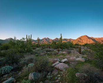 Arizona, cacti, mountains Wallpaper 1280x1024