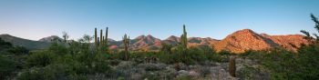 Arizona, cacti, mountains Wallpaper 1590x400