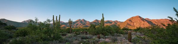 Arizona, cacti, mountains Wallpaper 1590x400