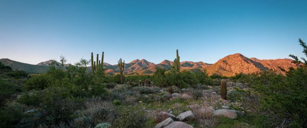 Arizona, cacti, mountains Wallpaper 3440x1440