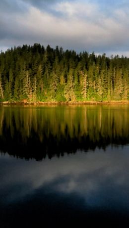 Alaska, USA Wallpaper 640x1136